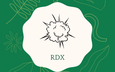 RDX or Detonator?
