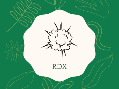 RDX or Detonator