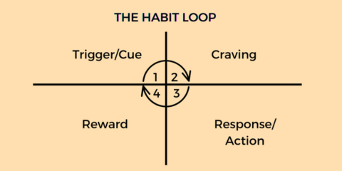 Create lasting change in digital habits with Undistractable - HabitStrong